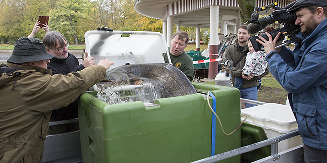 Ulrich Simons - Hangeweiher Abfischen